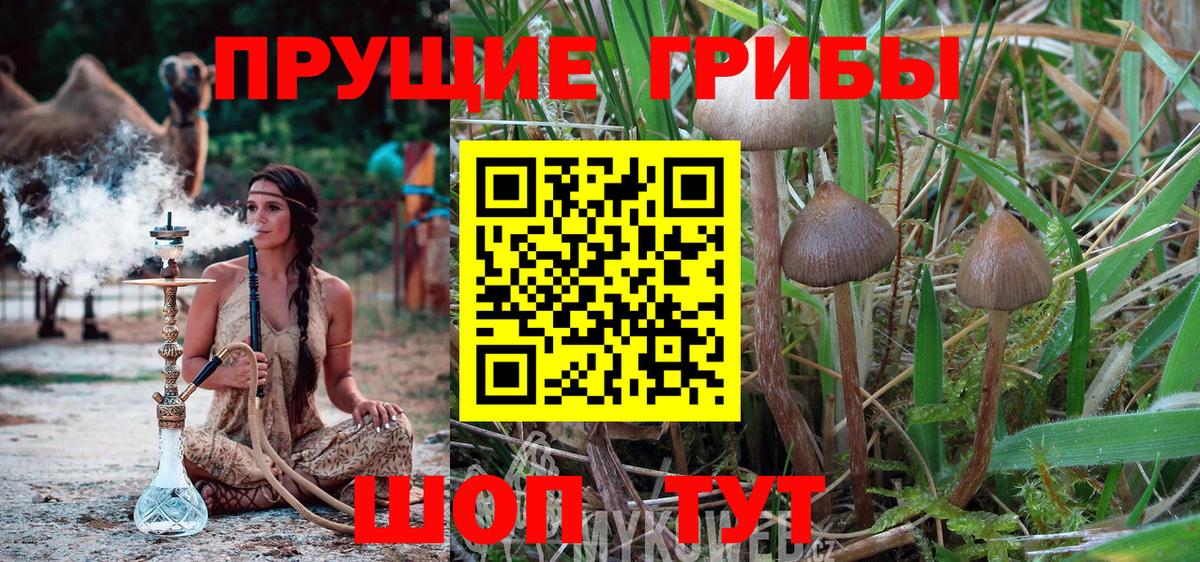Галлюциногенные грибы GOLDEN TEACHER  Вход с VPN  Белово 